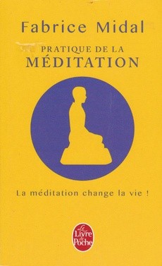 Pratique de la méditation - couverture livre occasion
