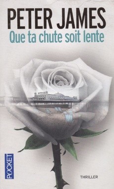 Que ta chute soit lente - couverture livre occasion