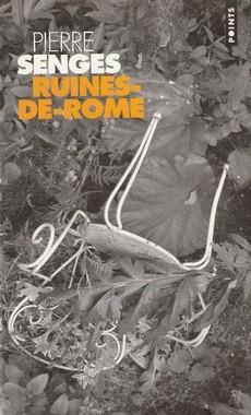 Ruines-de-Rome - couverture livre occasion