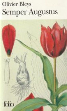 couverture de 'Semper Augustus' - couverture livre occasion