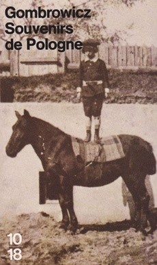 Souvenirs de Pologne - couverture livre occasion