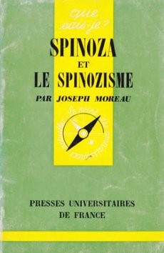 Spinoza et le spinozisme - couverture livre occasion