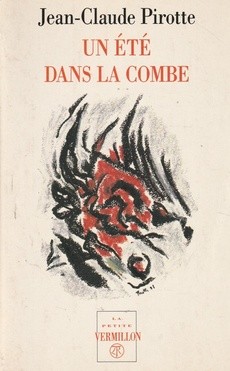 Un été dans la combe - couverture livre occasion