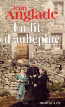 Un lit d'aubépine - couverture livre occasion