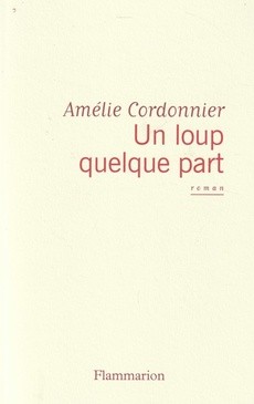 Un loup quelque part - couverture livre occasion