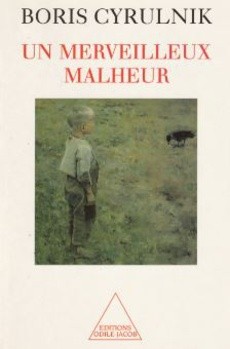 Un merveilleux malheur - couverture livre occasion