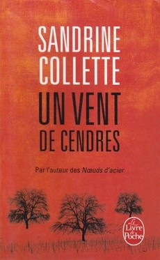 Un vent de cendres - couverture livre occasion