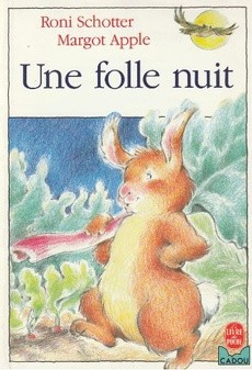 Une folle nuit - couverture livre occasion