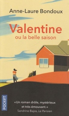 Valentine - couverture livre occasion