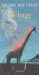 Déluge - couverture livre occasion