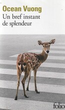 Un bref instant de splendeur - couverture livre occasion
